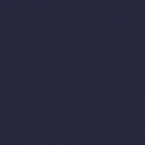 Meet your Posher, Chase